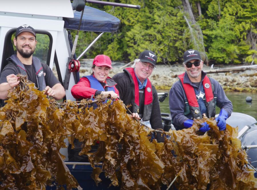 Cascadia Seaweed, Plantbased, Sustainability, Helen Siwak, EcoLuxLuv, Vancouver Island, Vancouver, BC, Vancity, YVR