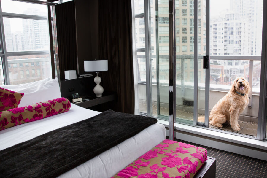 OPUS HOTEL, yaletown, luxury hotel, boutique hotel, staycation, vancouver, bc, vancity, yvr, helen siwak, capo and spritz